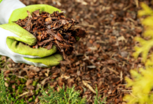Ohio Landscaping 101: How to Choose the Perfect Landscape Mulch for Your Garden